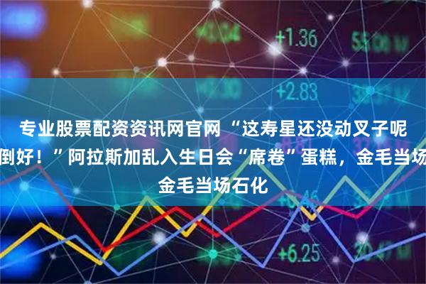 专业股票配资资讯网官网 “这寿星还没动叉子呢，你倒好！”阿拉斯加乱入生日会“席卷”蛋糕，金毛当场石化